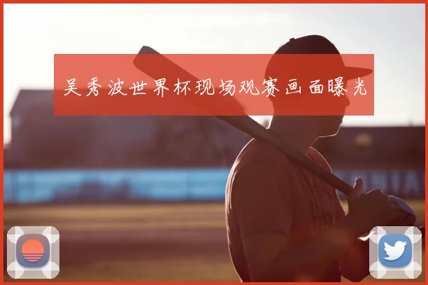 吴秀波世界杯现场观赛画面曝光