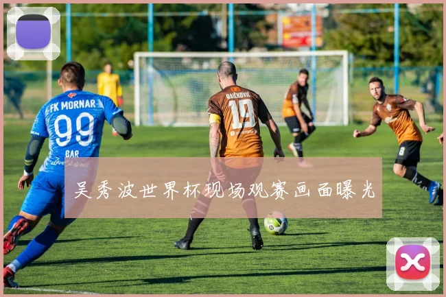 吴秀波世界杯现场观赛画面曝光