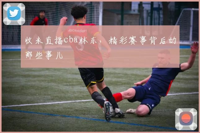 收米直播cba林东，精彩赛事背后的那些事儿