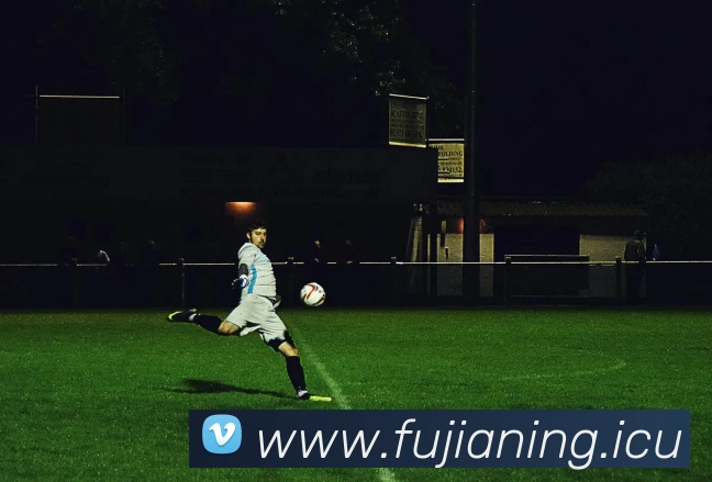 九游体育(中国)官方网站 - 九游 SPORTS服务体系